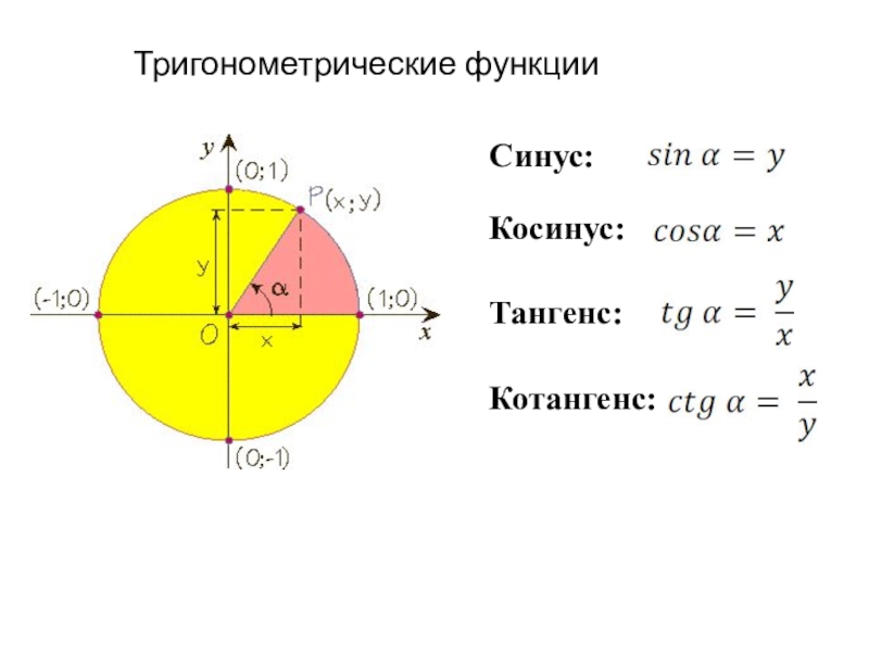 Проект тригонометрические функции