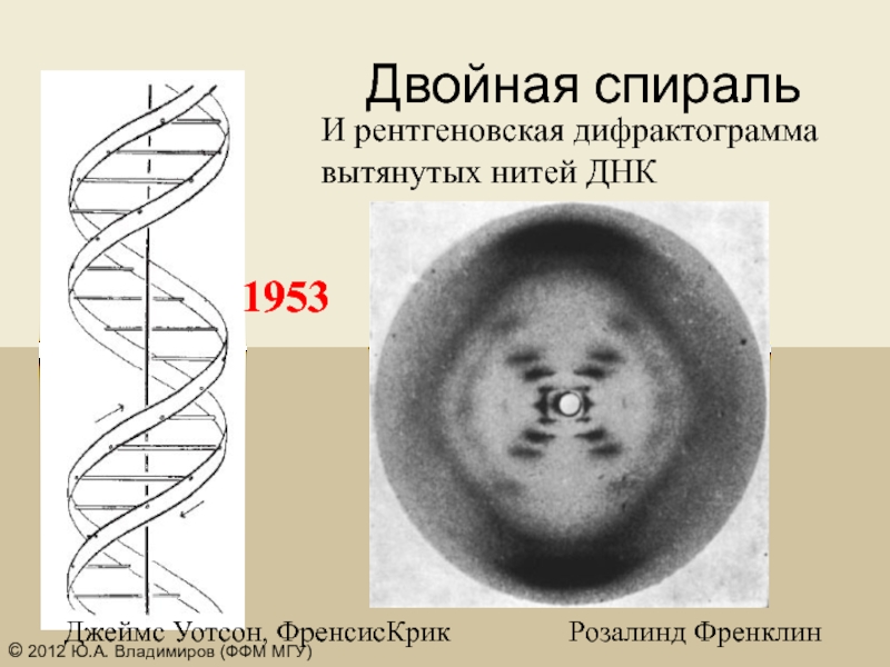 Двойная спираль. Уотсон двойная спираль. Двойная спираль Джеймс Уотсон книга. Дифрактограмма ДНК. Фильм двойная спираль.