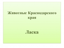 Животные Краснодарского края. Ласка 1 класс