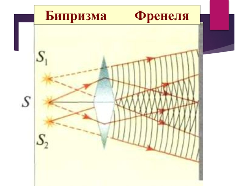 Бипризма френеля фото