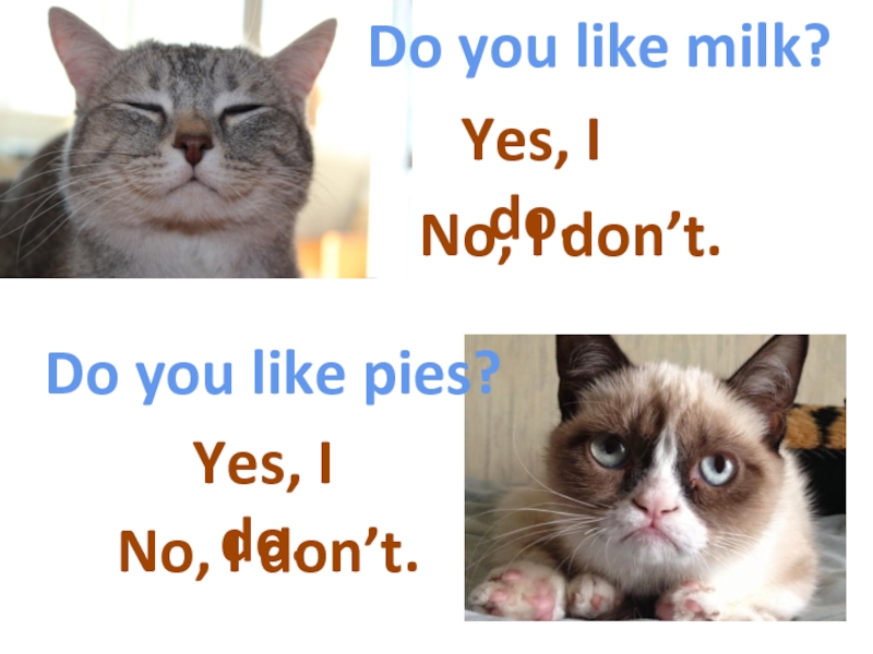 Yes milk. Do you like Milk. Yes no Milk. Do you like my pies Ann asked her.
