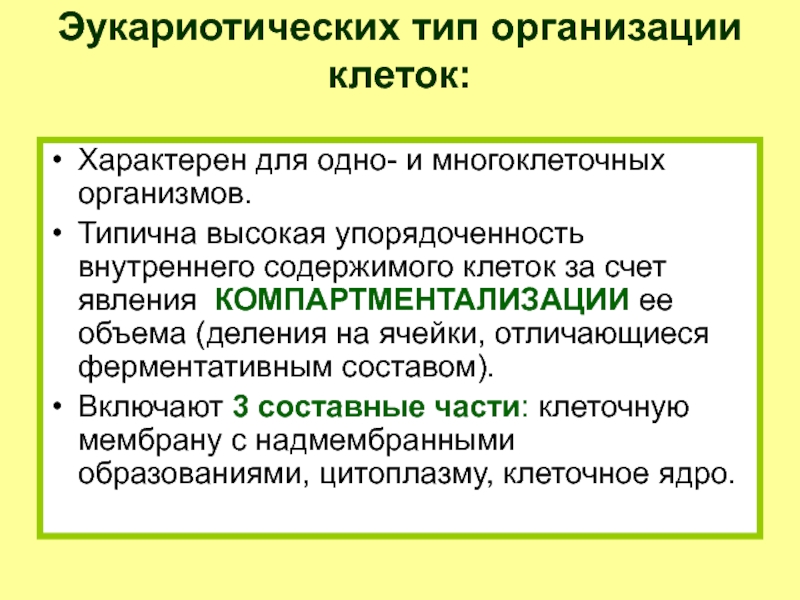 Компартментализация клетки презентация