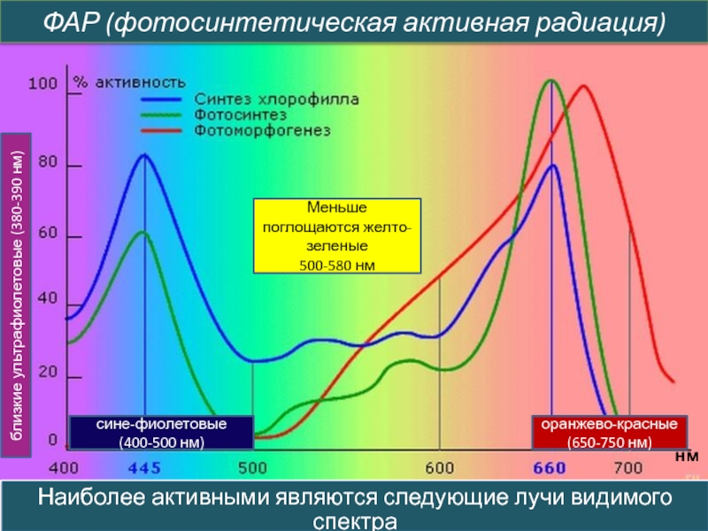 На рисунке представлены два экспериментально полученных графика для спектра солнечного излучения