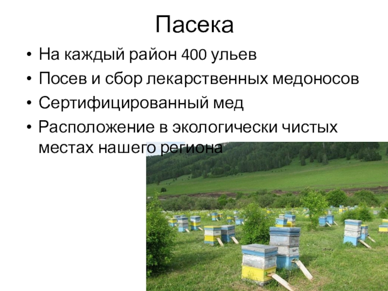 Агротуризм в нижегородской области презентация