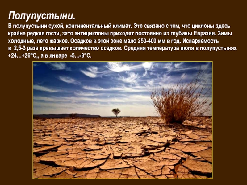 Температура летом в полупустынях. Пустыни и полупустыни климат. Евразия пустыни и полупустыни климат. Пустыни и полупустыни России климат. Зона полупустынь климат.