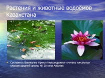 Растения и животные водоёмов Казахстана