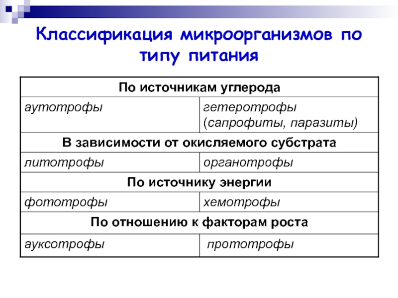 Питание бактерий схема