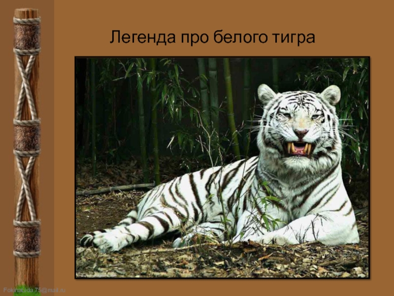 Легенда про белого тигра
