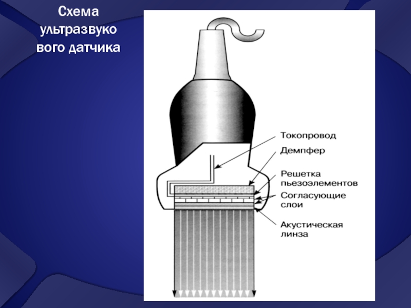 Функциональная схема узи аппарата