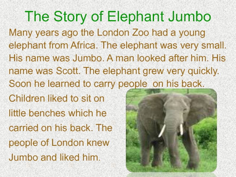 The Story of Elephant Jumbo