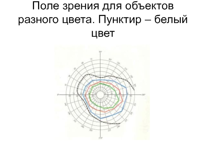 Поле зрения белого цвета. Поля зрения в норме. Поле зрения на белый цвет. Поля зрения для разных цветов. Границы поля зрения на белый цвет.