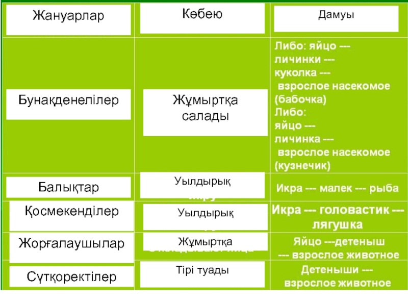 Жануарлар систематика презентация