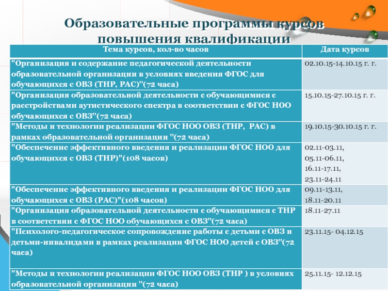 Адаптированная основная общеобразовательная программа 2024 2025