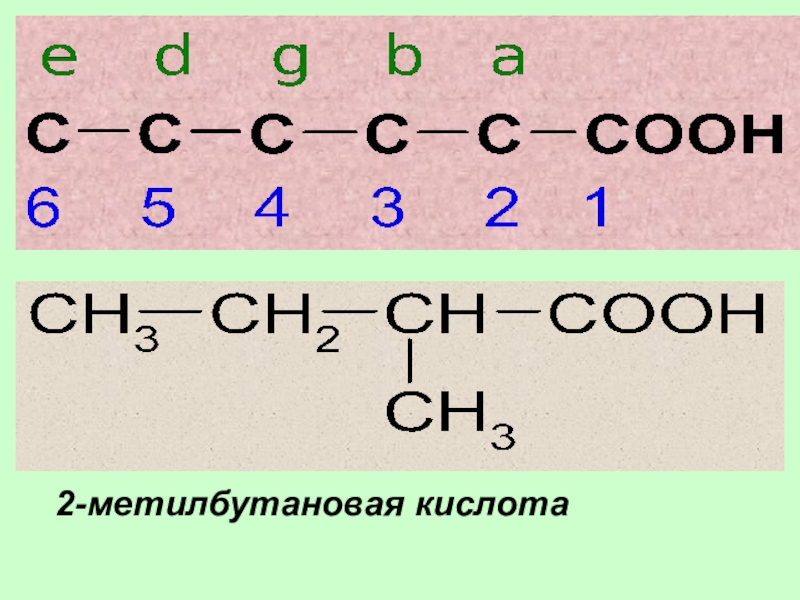 Метилбутановая кислота изомеры. Формула 2 метилбутановой кислоты. 2 Метилбутановая кислота структурная формула. 2 Метилбутановая кислота формула. 2 Метил бутанговая кислота.