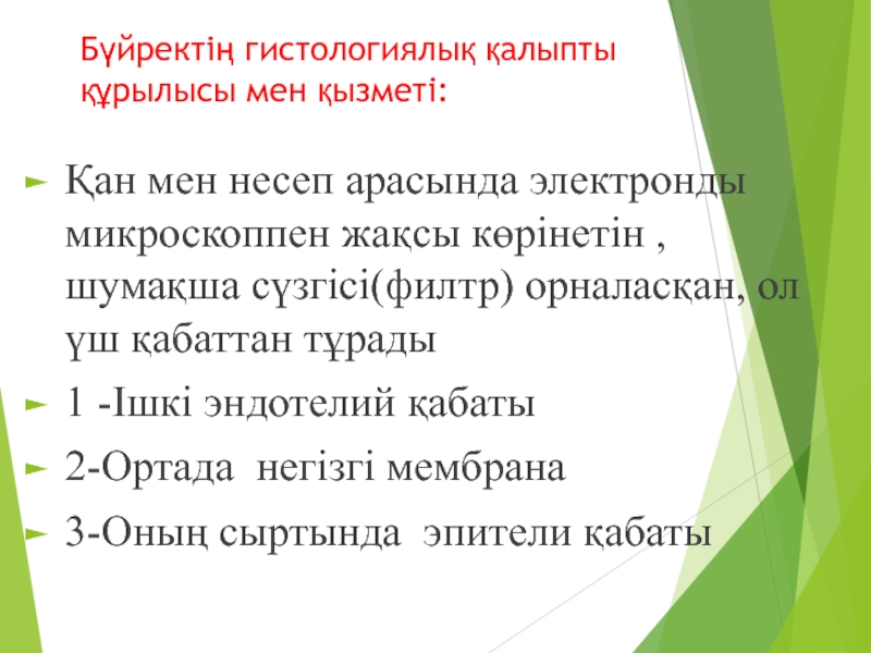 Құлақ аурулары презентация