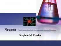 Neurons Stephen Richards 