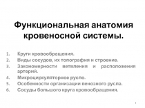 Функциональная анатомия кровеносной системы