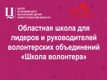 Областная школа для лидеров и руководителей волонтерских объединений Школа