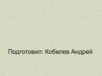 Подготовил: Кобелев Андрей