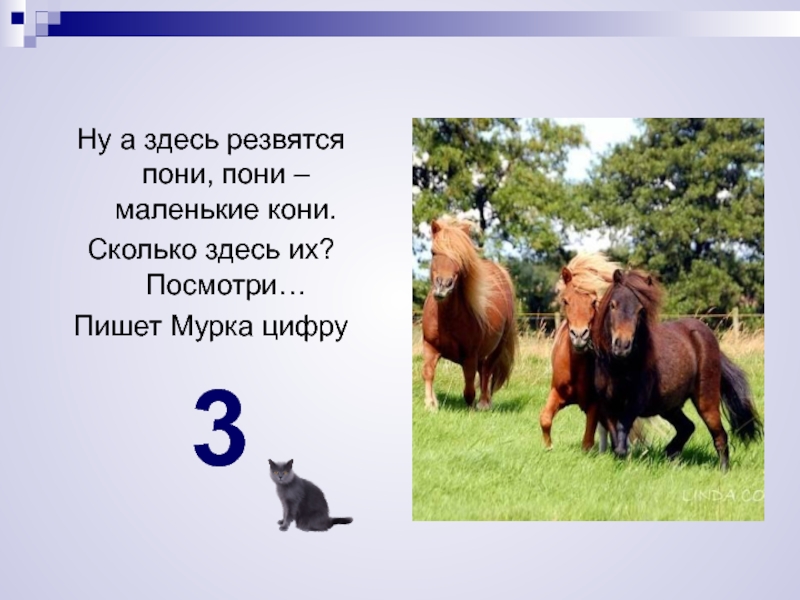 Сколько здесь слов. Цифра 3 пони. Мурка в зоопарке цифра 3 пони. Конь сколько звуков. Три пони Мурка в зоопарк.