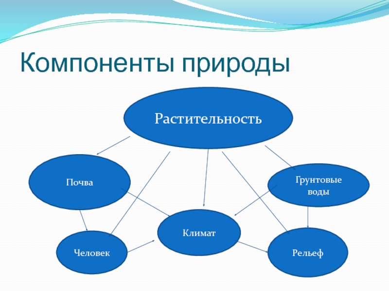 Схема природных компонентов