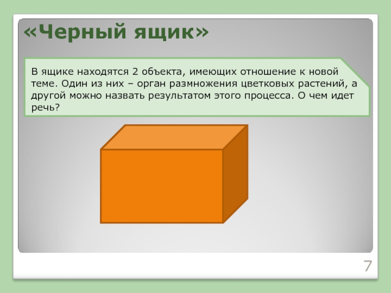 «Черный ящик»В ящике находятся 2 объекта, имеющих отношение к новой теме. Один из них – орган размножения
