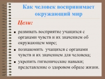 Как человек воспринимает окружающий мир