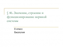 Строение и функционирование нервной системы