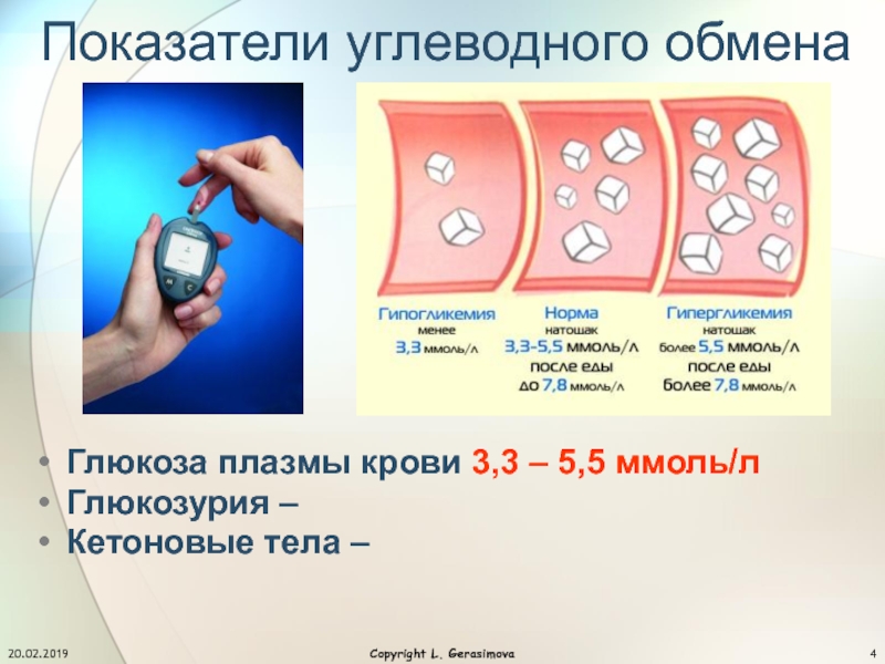 Презентация гипергликемия и гипогликемия