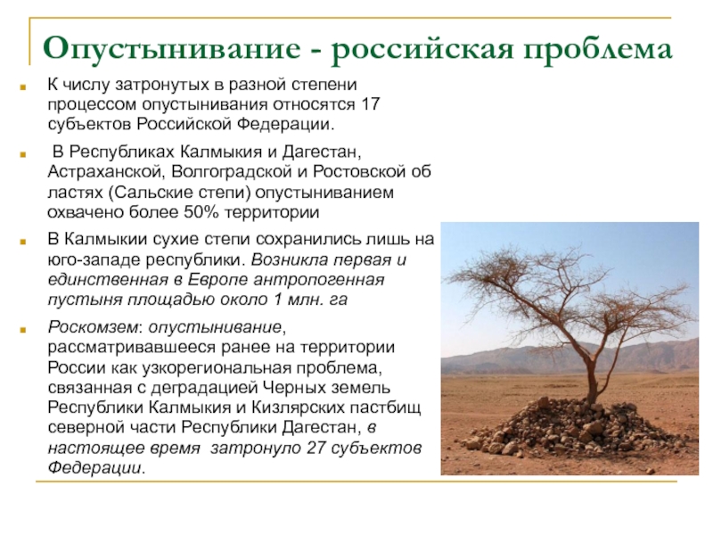 Проблема опустынивания планеты презентация