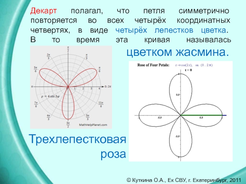 Площадь лепестка. Уравнение трехлепестковой розы. График трехлепестковой розы.