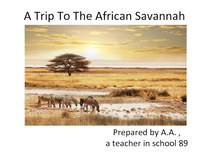 Презентация A Trip To The African Savannah