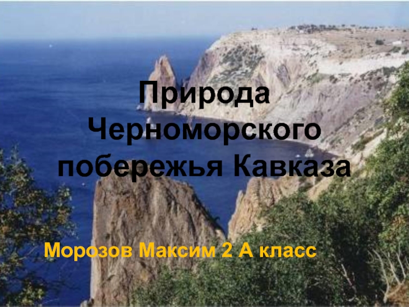 Презентация Природа Черноморского побережья Кавказа