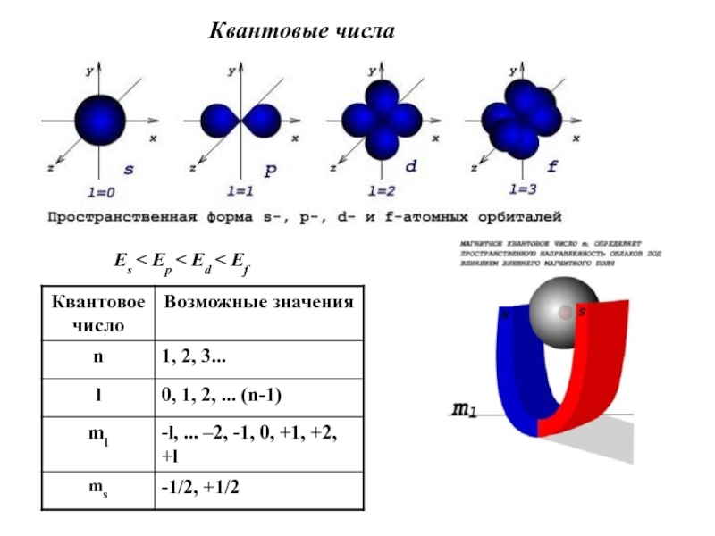 Квантовое состояние электронов. Графическое изображение энергетических уровней атомных орбиталей. Формула главного квантового числа. Формулы для расчета квантовых чисел.. Набор квантовых чисел 3s орбиталь.