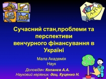 Сучасний стан,проблеми та перспективи венчурного фінансування в Україні