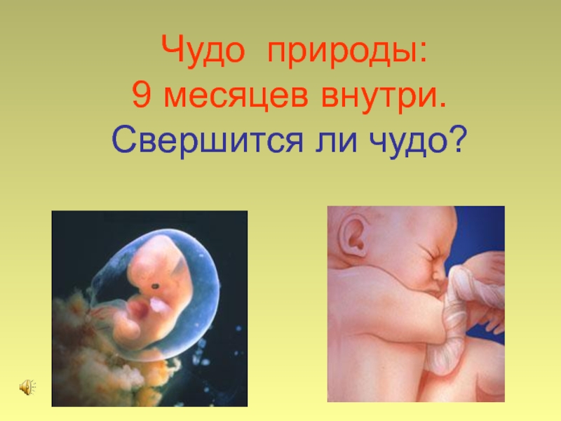 Презентация Дневник нерождённого ребёнка