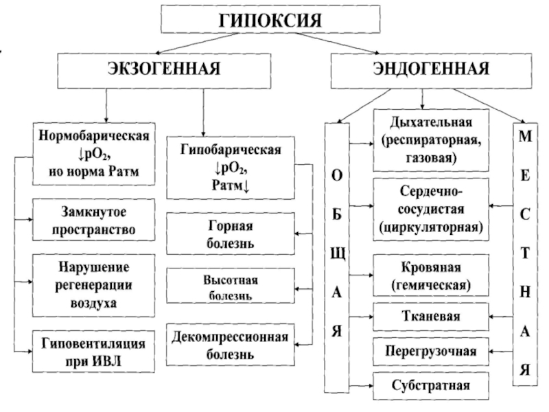 Виды гипоксии схема