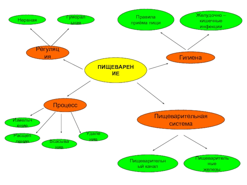 Гигиена ментальная карта