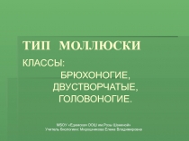 Презентация к уроку по теме 