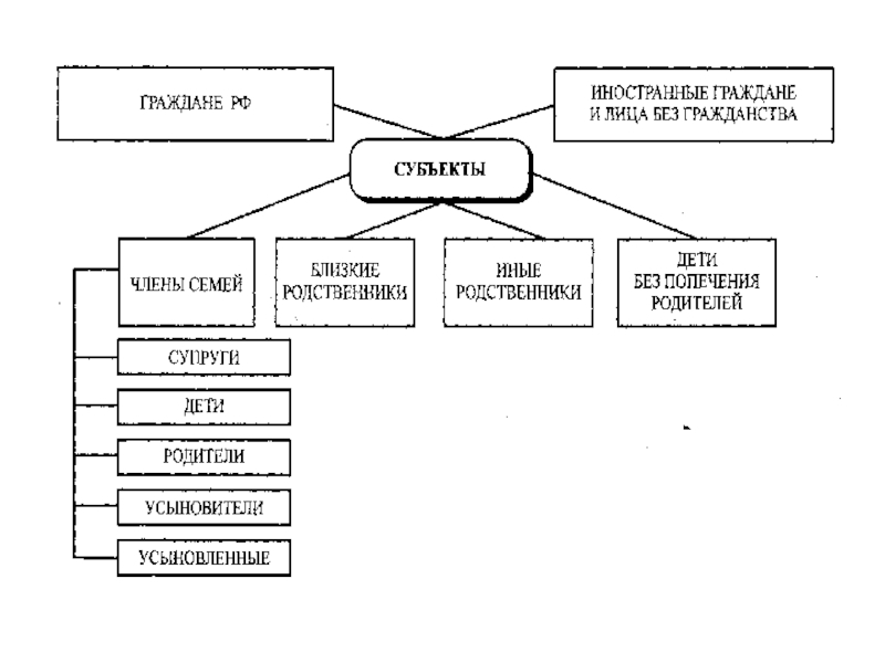 Виды семейных правоотношений схема