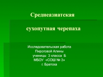 Среднеазиатская сухопутная черепаха - детская презентация