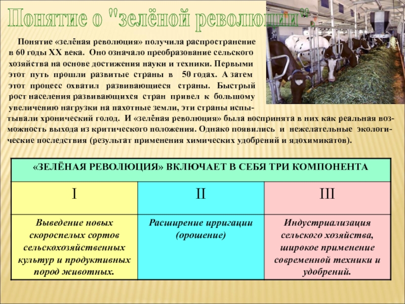 География сельского хозяйства и рыболовства презентация