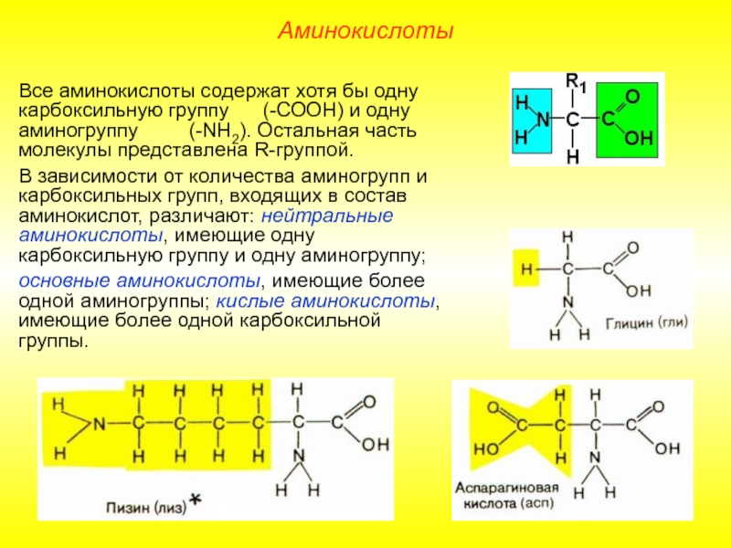 Аминокислоты аминогруппа карбоксильная группа. Все аминокислоты. Аминокислоты различаются. R группы аминокислот. Отличие аминокислот.