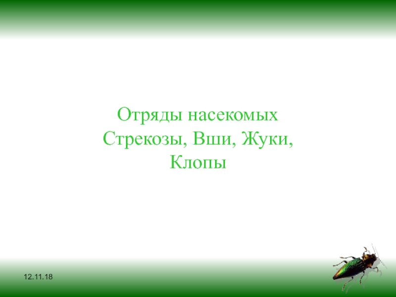 Презентация 12.11.18
Отряды насекомых
Стрекозы, Вши, Жуки, Клопы