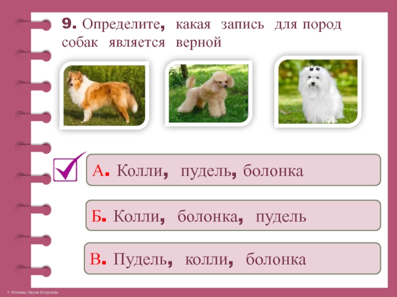 Про кошек и собак 2 презентация. Задания про кошек и собак. Задания про собак. Задания про собак и кошек окружающий мир. Породы собак задания для дошкольников.