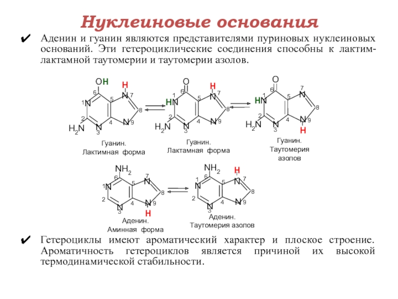 Основания представители. Таутомерные формы аденина. Таутомерное превращение аденина. Лактим лактамная таутомерия производных пиримидина и Пурина. Таутомерия аденина и Тимина.