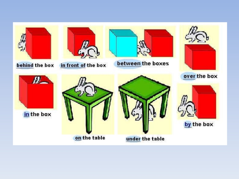 The book is in the box. Prepositions в английском языке. Предлоги места in on under. Prepositions of place английский. Prepositions of place предлоги места.
