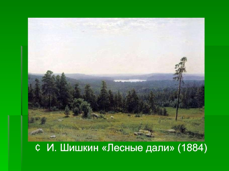 И. Шишкин «Лесные дали» (1884)