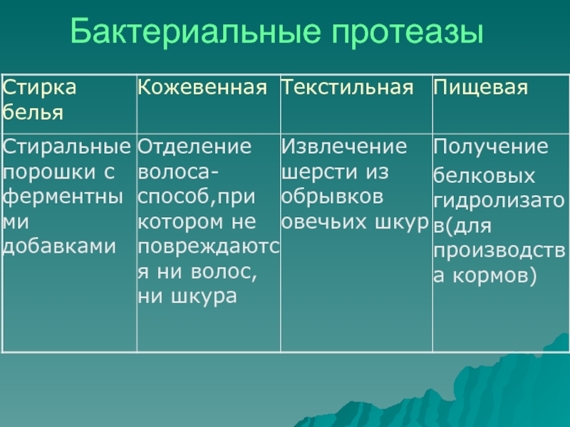 Проект ферменты 10 класс