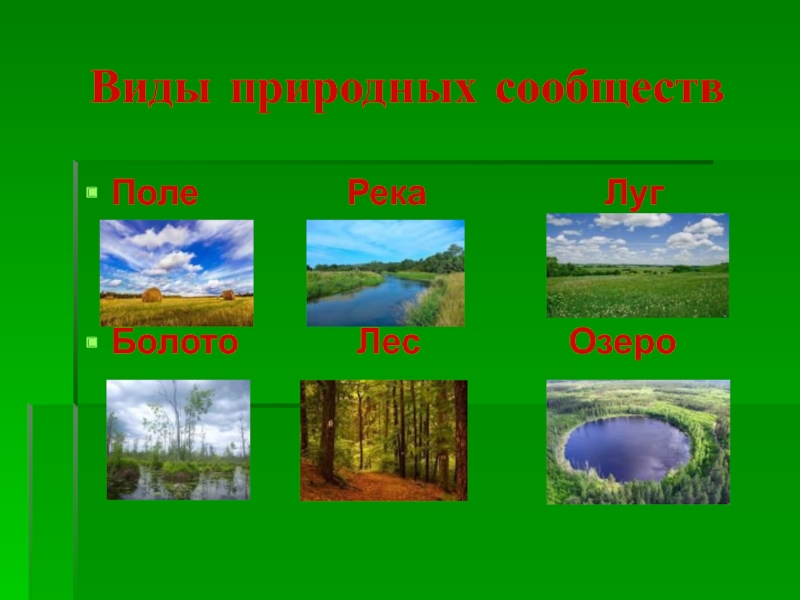 Природные сообщества родного края 4 класс презентация